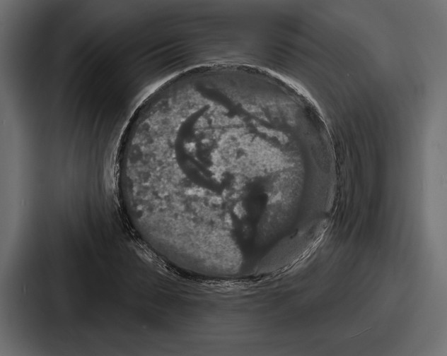 X0000086730879200705111613