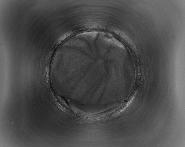 X0000086730881200705111613