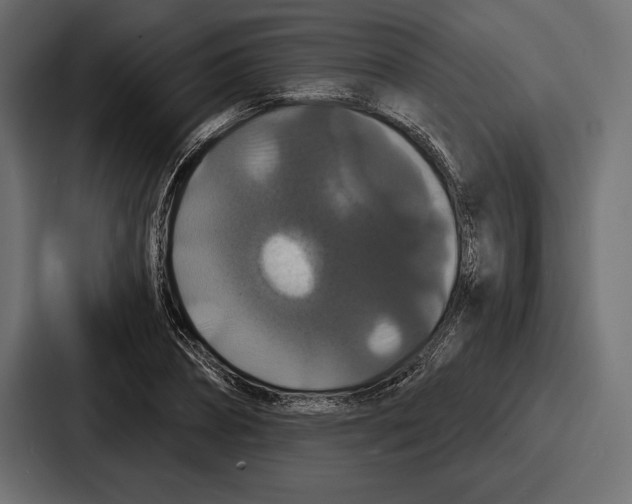 X0000086730882200705111613