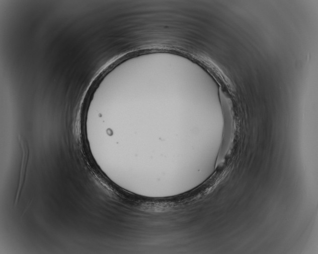X0000086730884200705111613