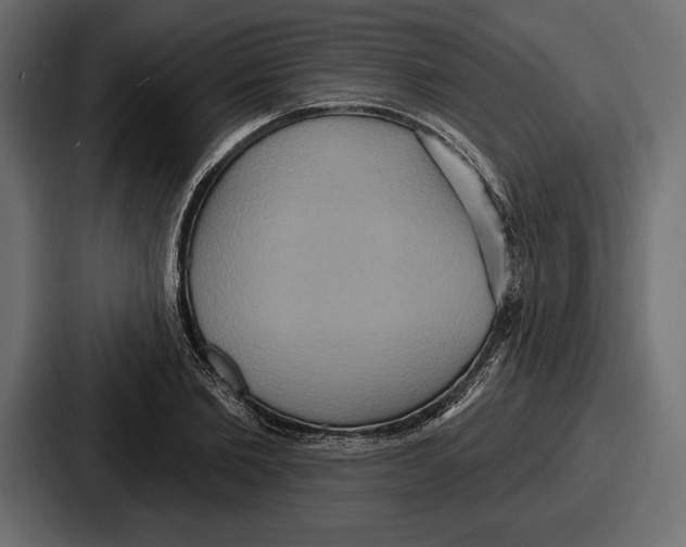 X0000086730885200705111612