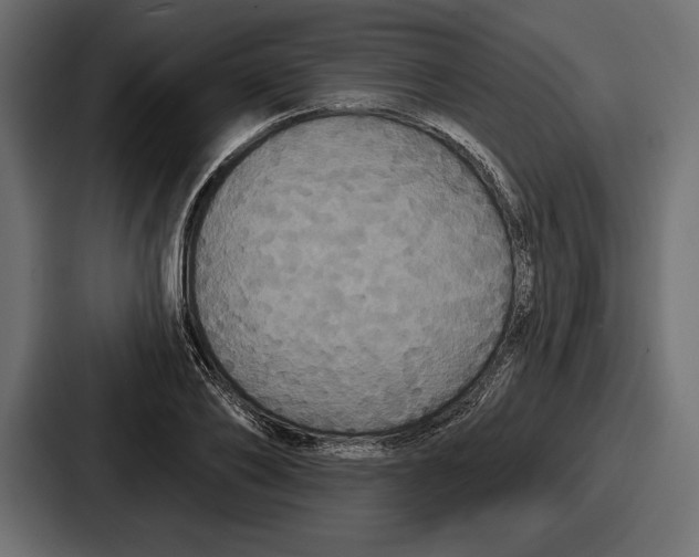 X0000086730886200705111612