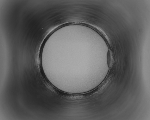 X0000086730887200705111612