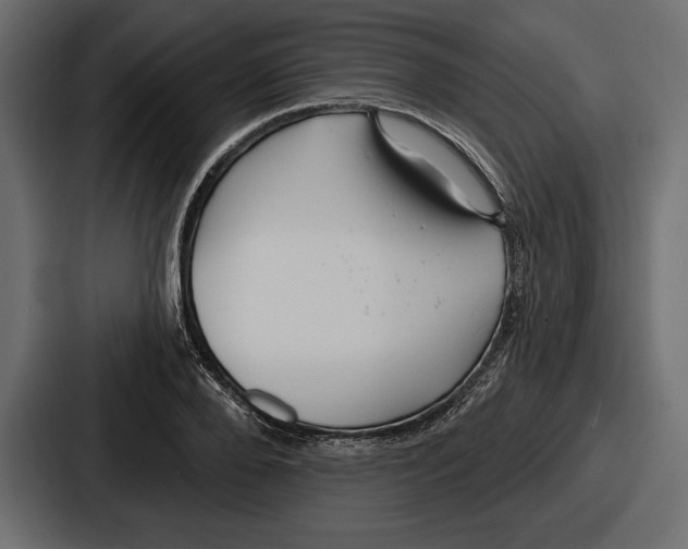 X0000086730888200705111612