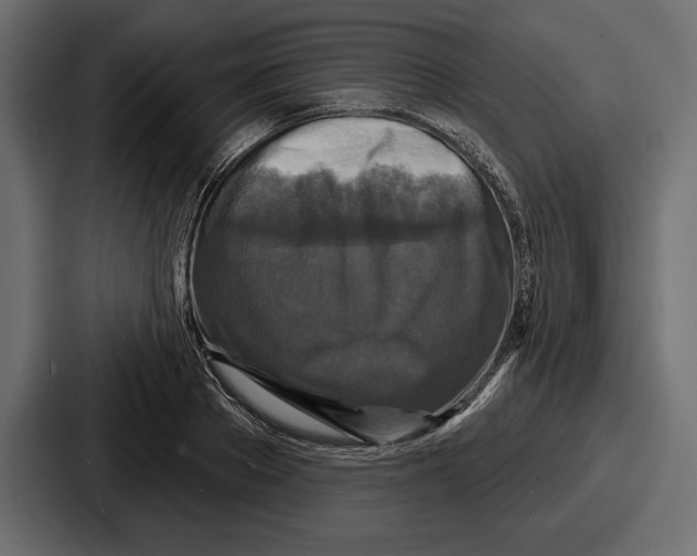 X0000086730889200705111612