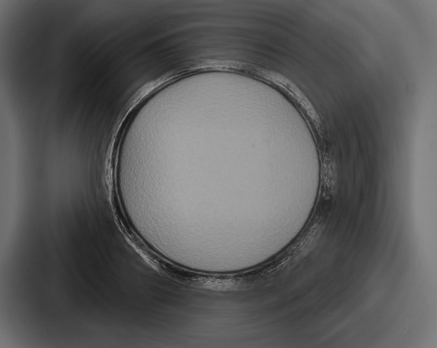 X0000086730890200705111612