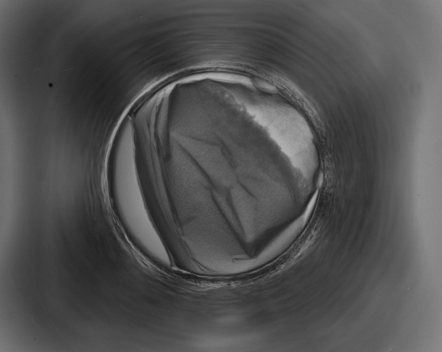 X0000086730892200705111612