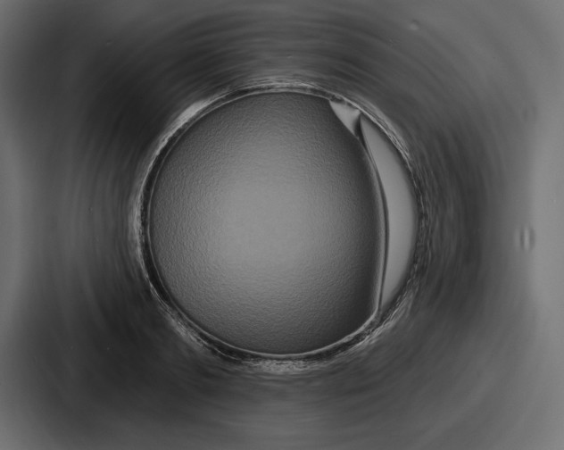 X0000086730893200705111612