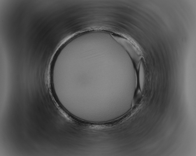 X0000086730894200705111612