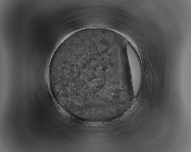 X0000086730895200705111612