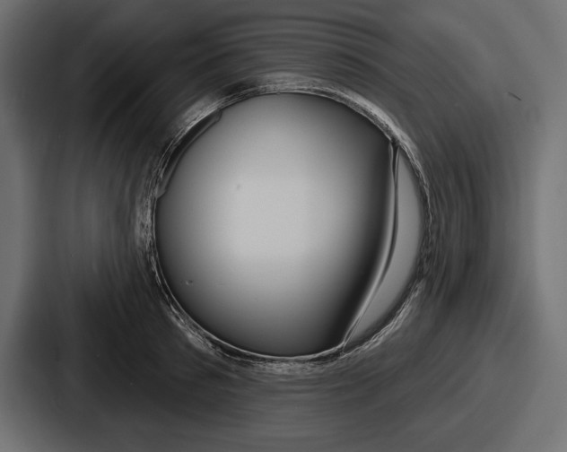 X0000086730897200705111612