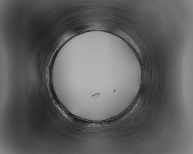 X0000086730898200705111612
