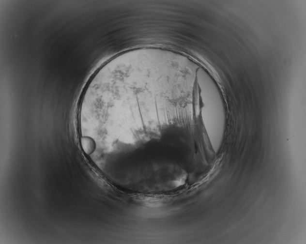 X0000086730899200705111612