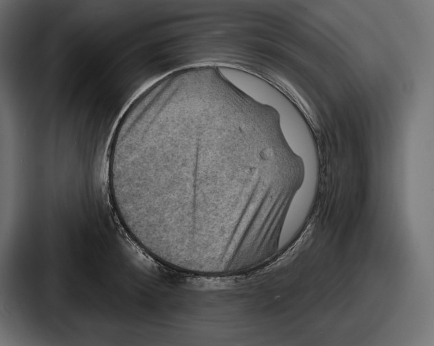 X0000086730900200705111612