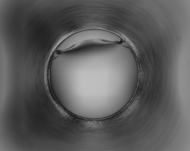 X0000086730901200705111612