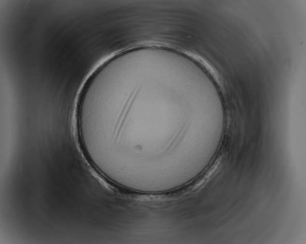 X0000086730902200705111612