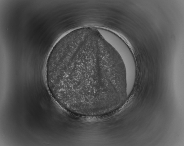 X0000086730903200705111612