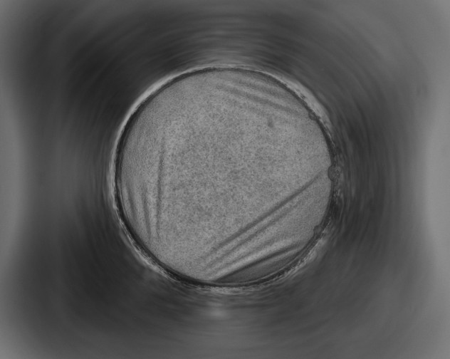 X0000086730904200705111612