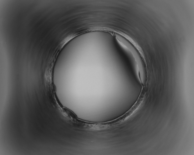 X0000086730905200705111612
