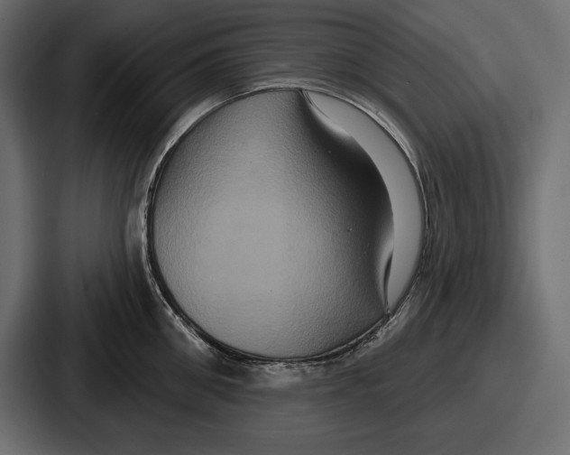 X0000086730906200705111612