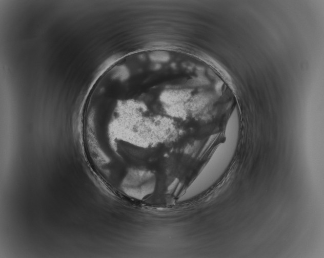 X0000086730907200705111612