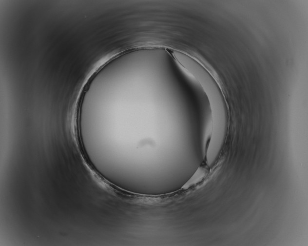X0000086730909200705111612
