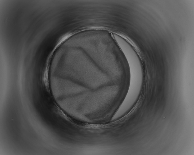 X0000086730910200705111612