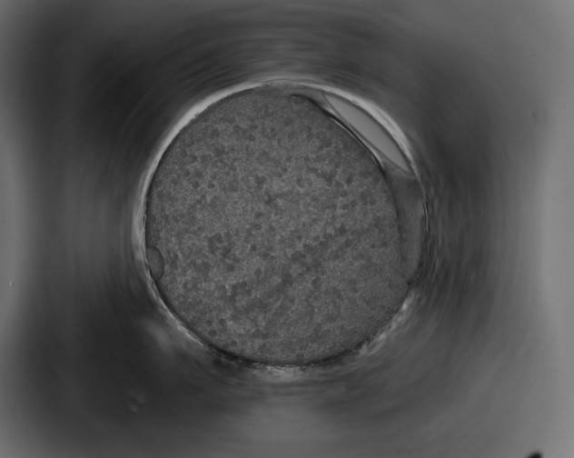 X0000086730911200705111612