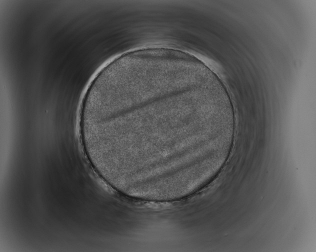 X0000086730912200705111612