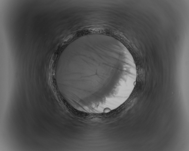 X0000086730913200705111612