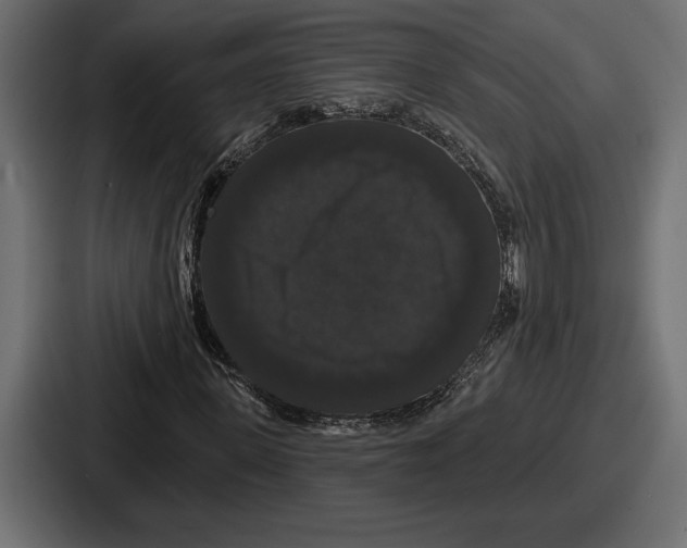 X0000086730915200705111612