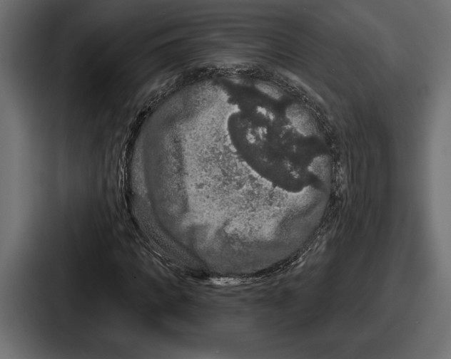 X0000086730917200705111612