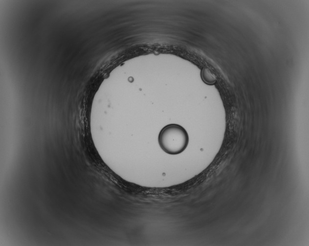 X0000086730918200705111612