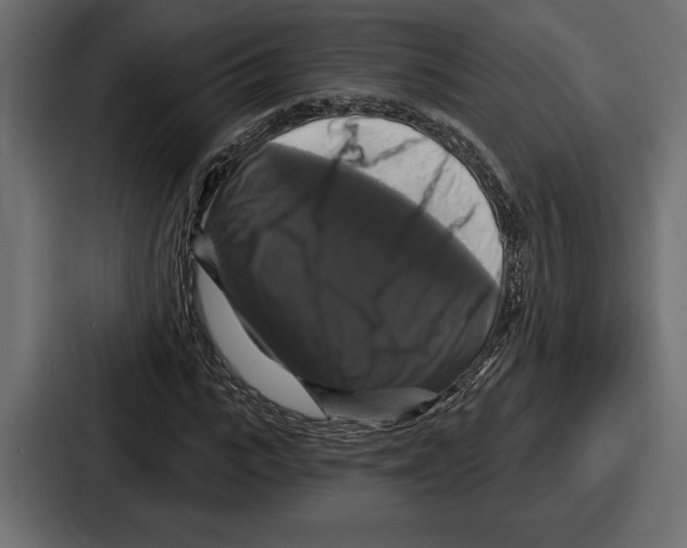 X0000086730919200705111612