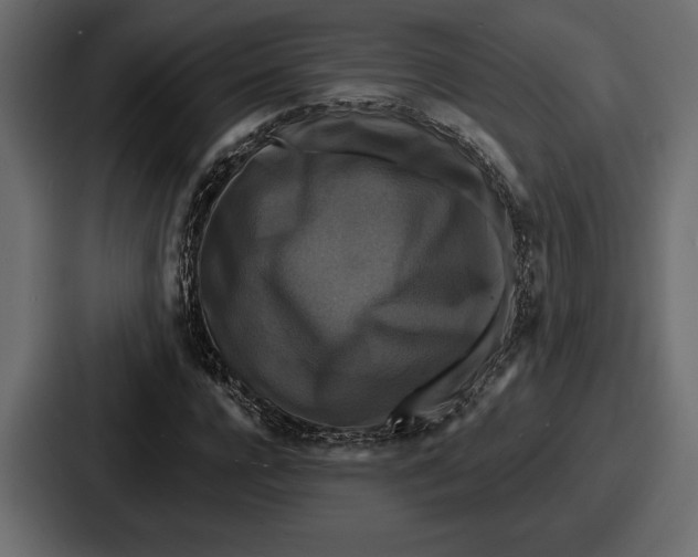 X0000086730920200705111612