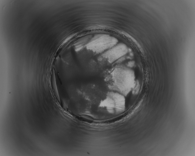 X0000086730921200705111612
