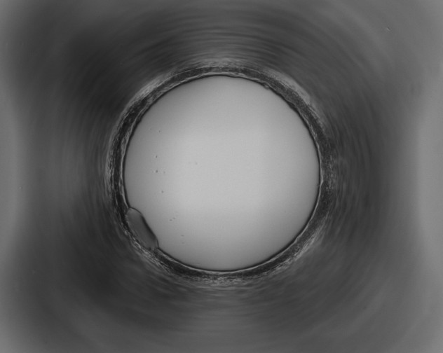 X0000086730922200705111612