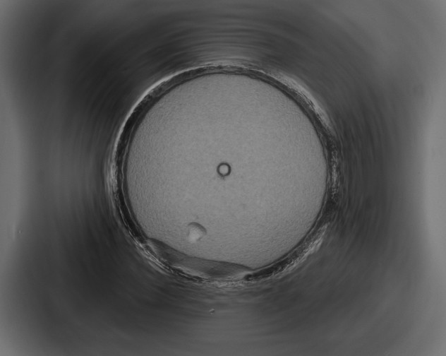 X0000086730924200705111612
