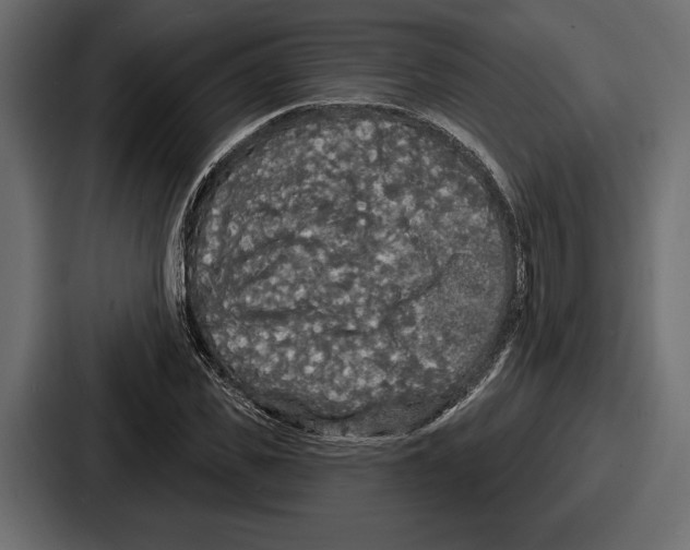 X0000086730925200705111612