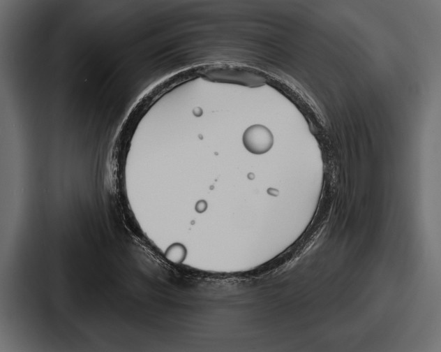X0000086730926200705111612
