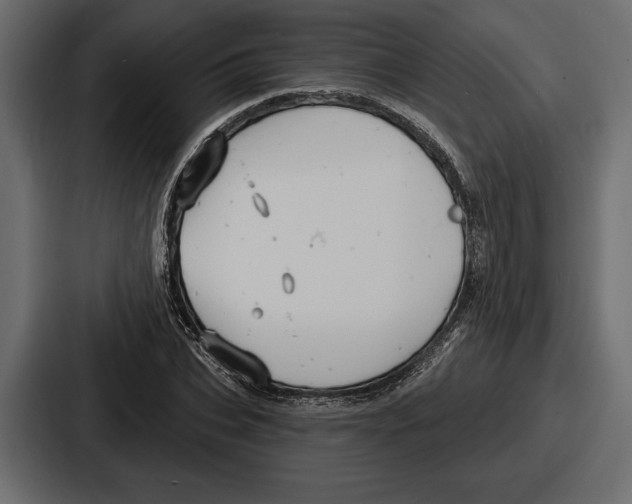 X0000086730927200705111612