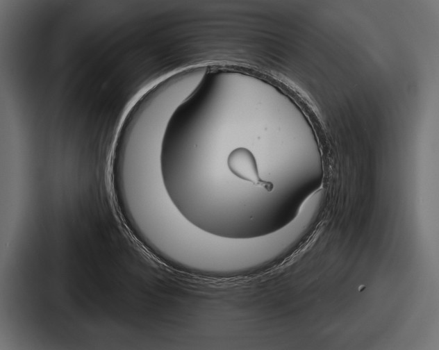 X0000086730928200705111612