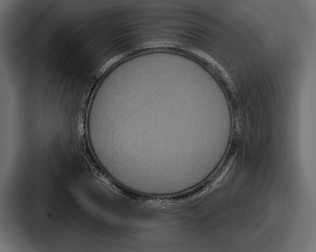 X0000086730929200705111612