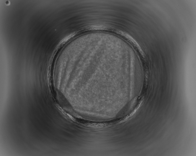 X0000086730930200705111612