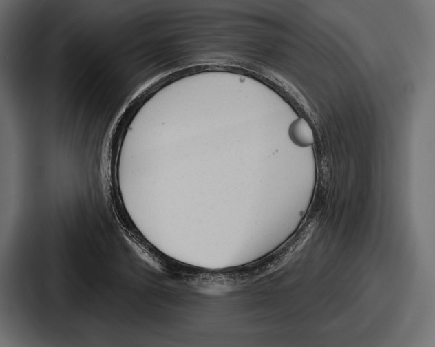 X0000086730931200705111612