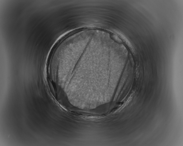 X0000086730932200705111612