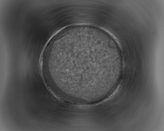 X0000086730933200705111612