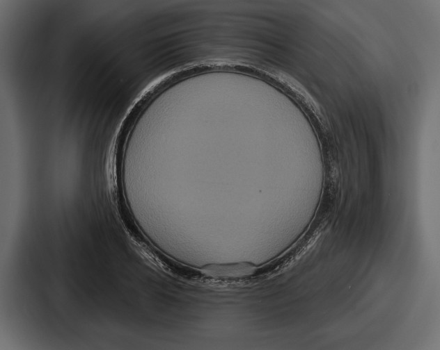 X0000086730934200705111612