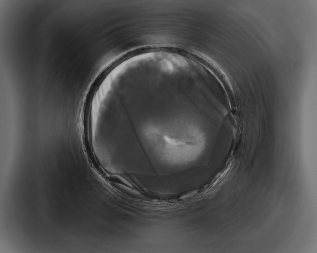 X0000086730935200705111612