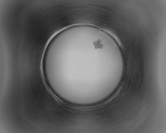 X0000086730936200705111612
